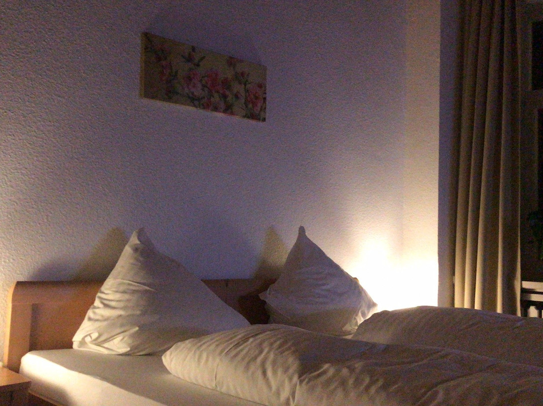 Zur eisernen Hand Hotel Restaurant主图