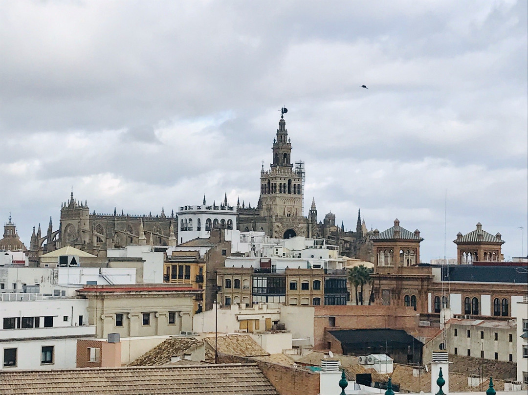 La Terraza del Cristina-塞维利亚必去景点