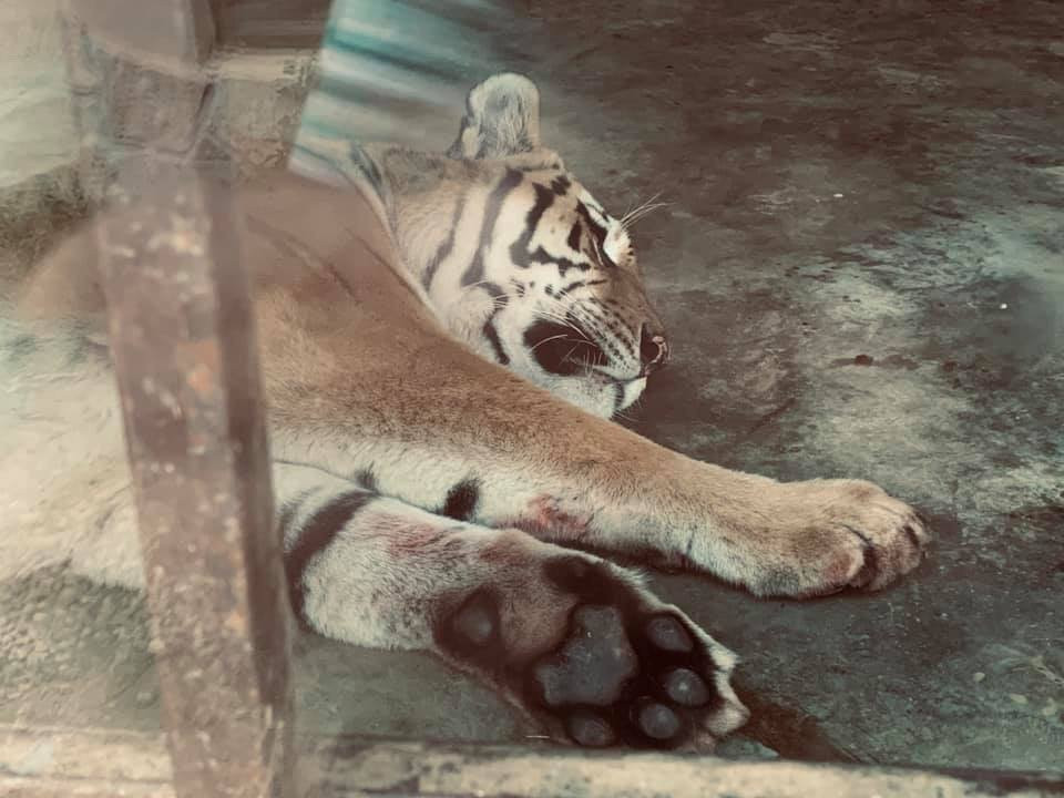Zoo Bitola-Bitola必去景点