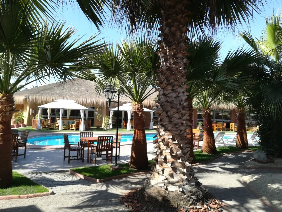 Hotel Serena Suite主图