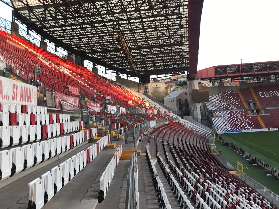 Stadio - Nereo Rocco景点图片