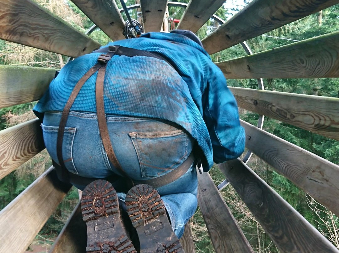Go Ape Wyre景点图片