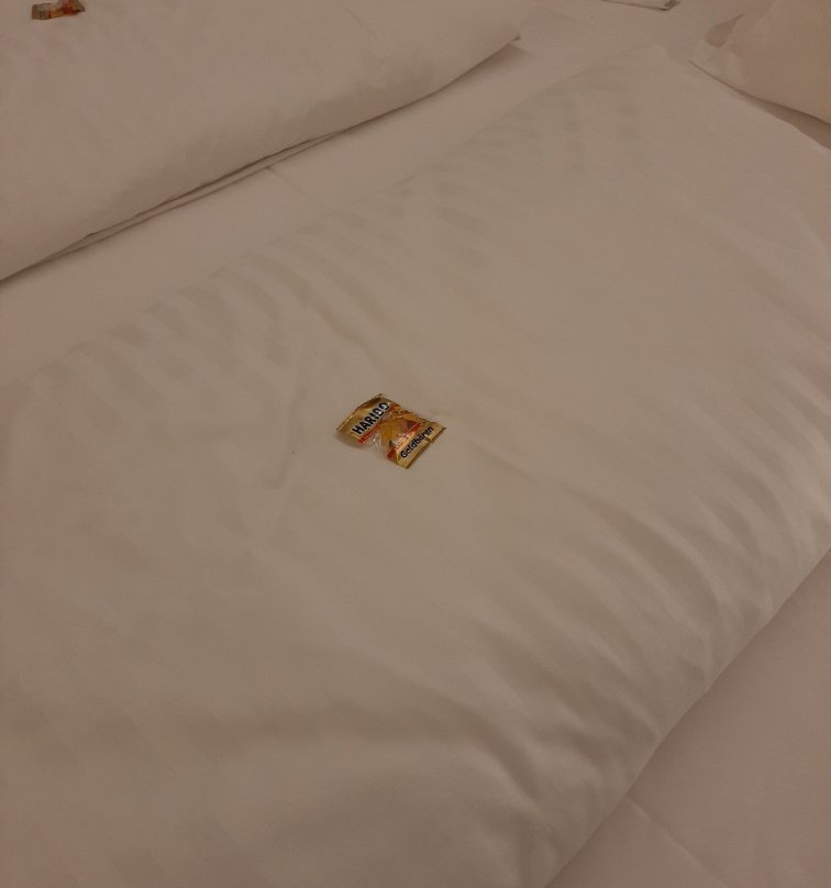 sHome Hotel Graz主图