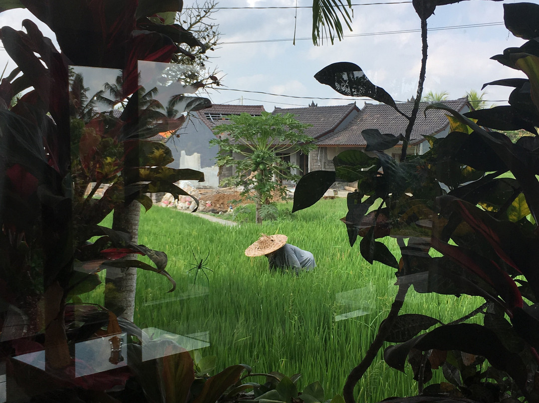 Rumah Surga Villa主图