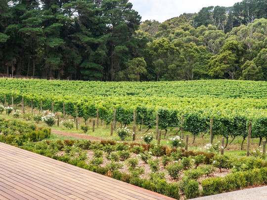 Mantons Creek Estate-Shoreham必去景点