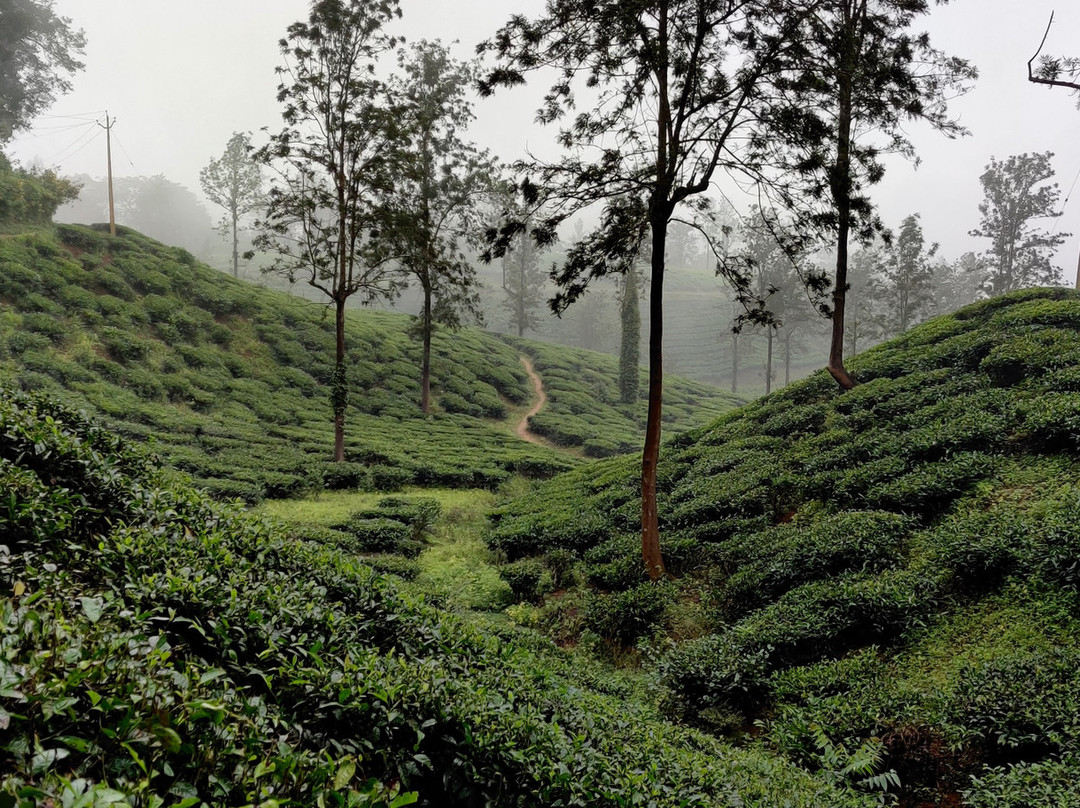 Ciceronis Travel-Pozhuthana必去景点