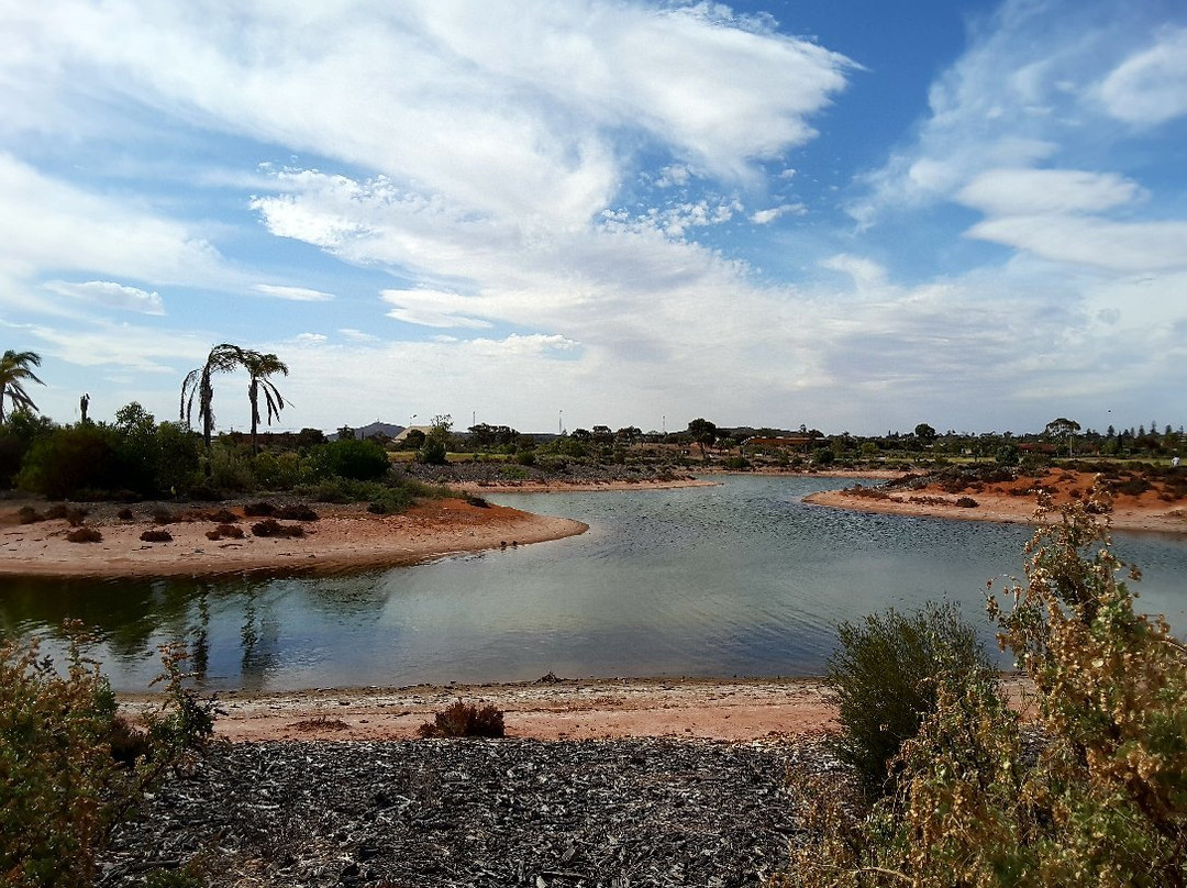Whyalla Wetlands-Whyalla必去景点