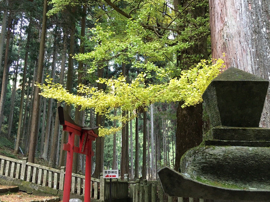 Aotama Shrine-多可町必去景点