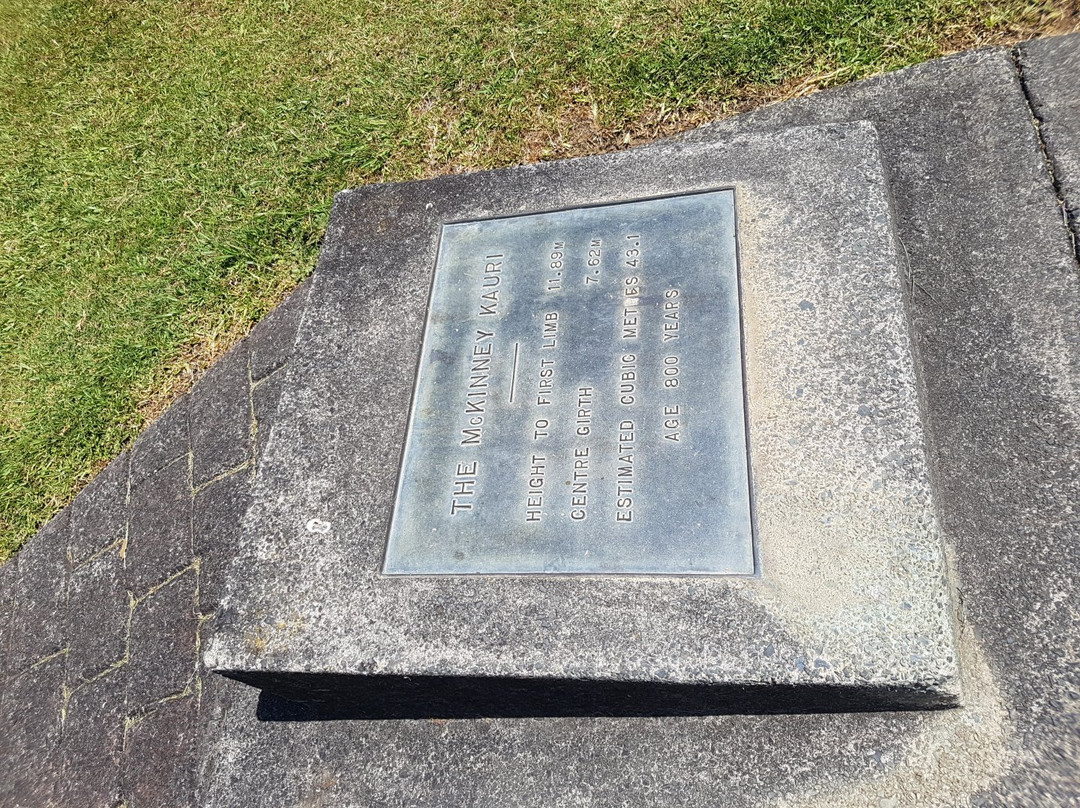 Parry Kauri Park-瓦卡沃夫必去景点