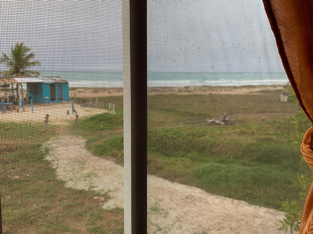 Hostal La Jungla主图