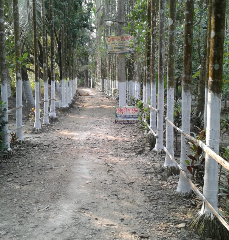 Ghatarani Waterfalls景点图片