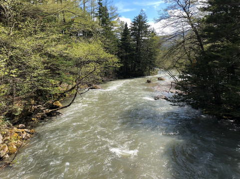 Tashiro Shitsugen-松本市必去景点