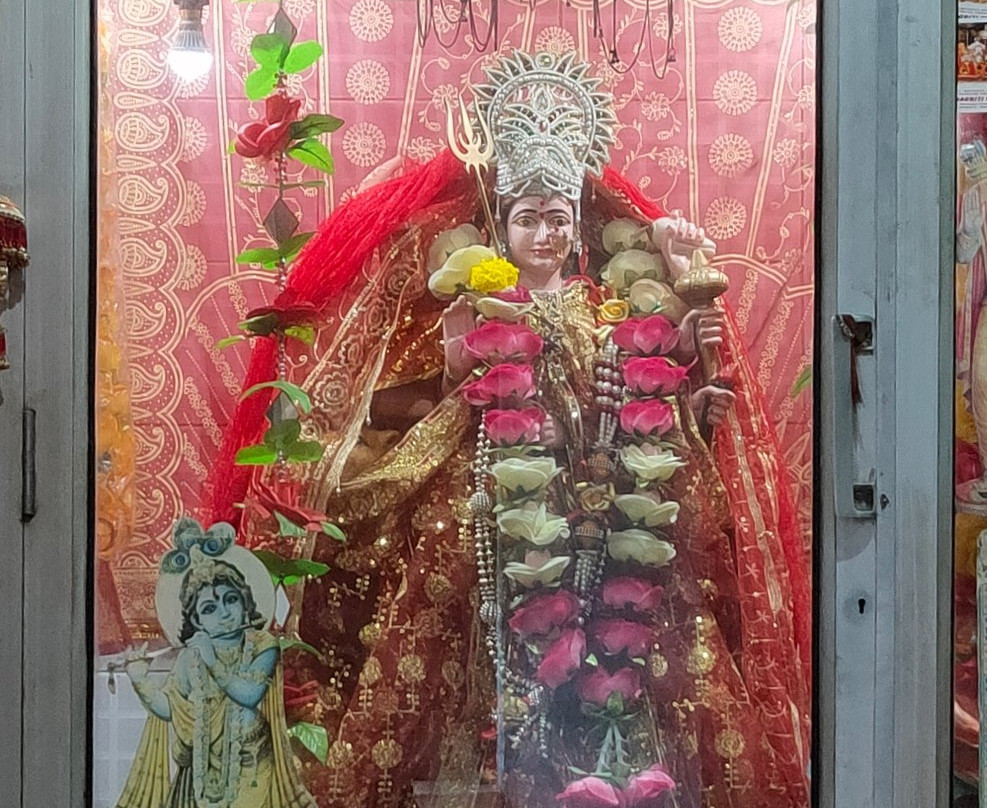 Kabootri Darwaza景点图片