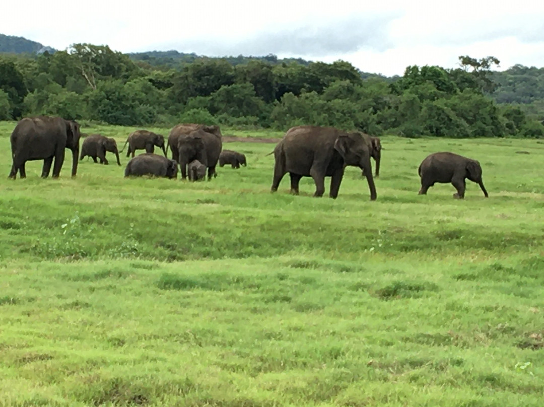 Sri Lanka Tour Driver-科伦坡必去景点