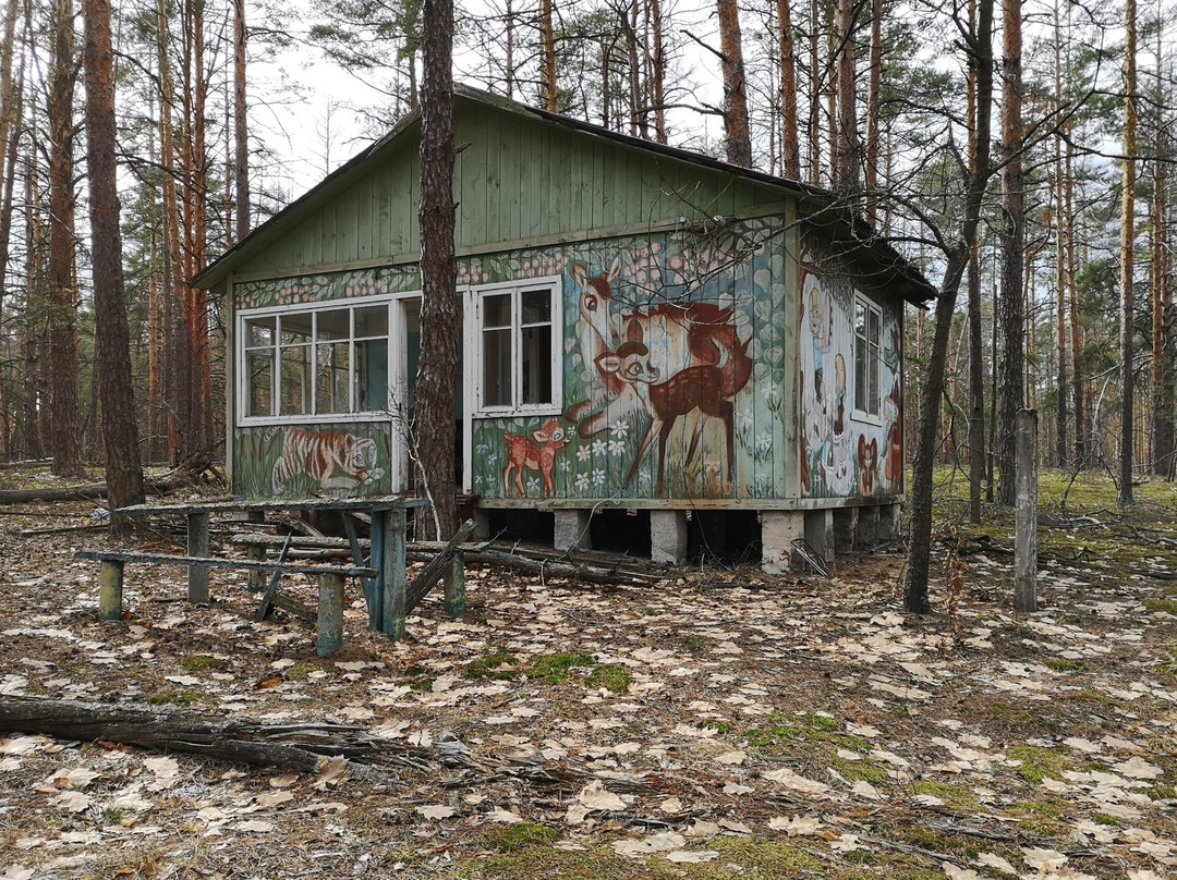 Private Chernobyl Guide景点图片