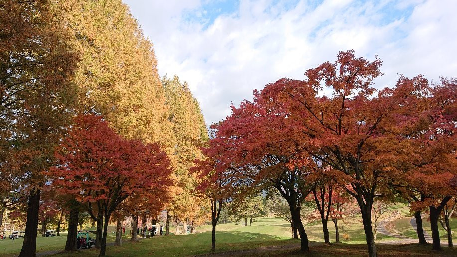 Northern Country Club Jomo Golf Course景点图片