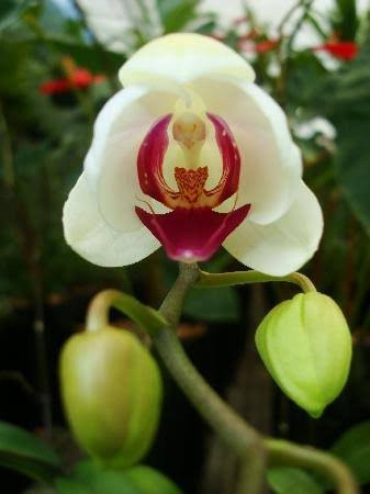 Argovia Ecolodge主图