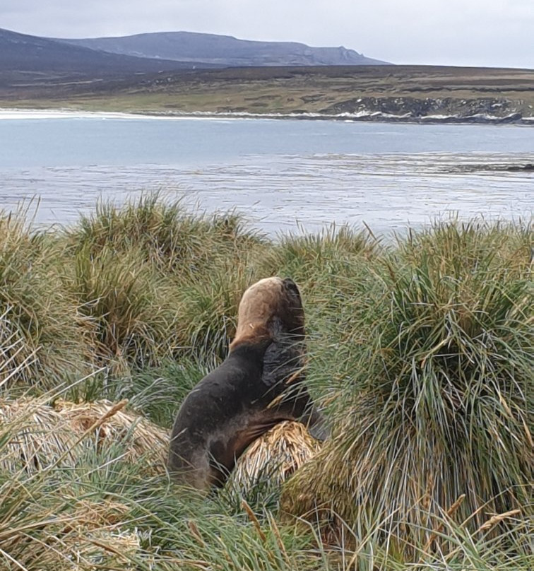 Kidney Island-Stanley必去景点