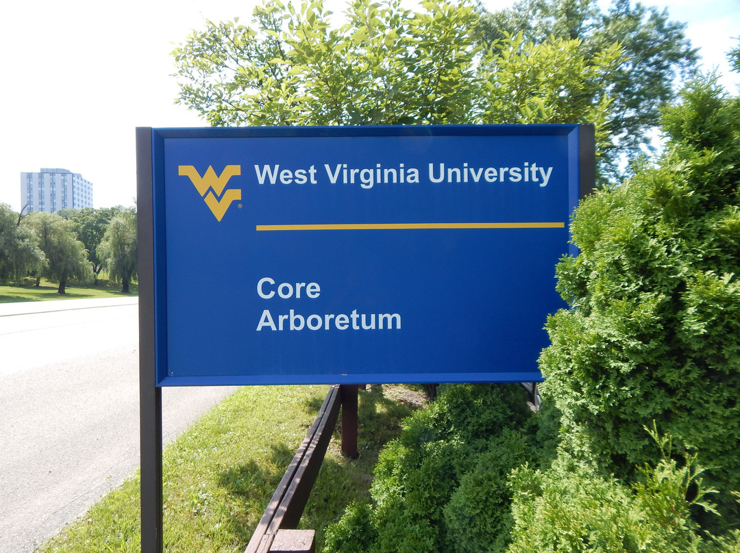 WVU Core Arboretum景点图片