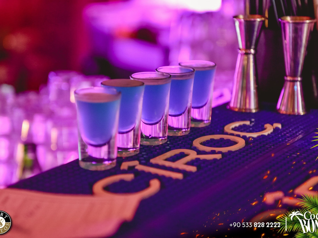 Coco Bongo Island景点图片
