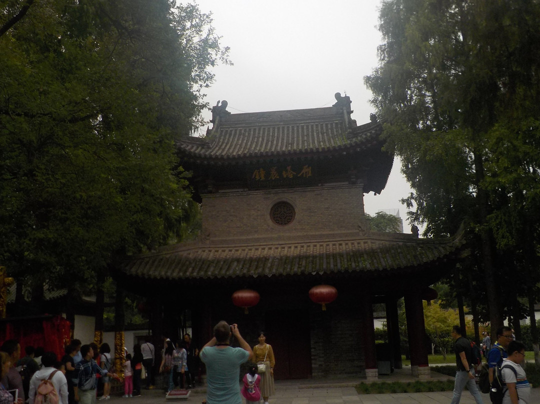 Xi'an Tour Guide的一日游-西安市必去景点