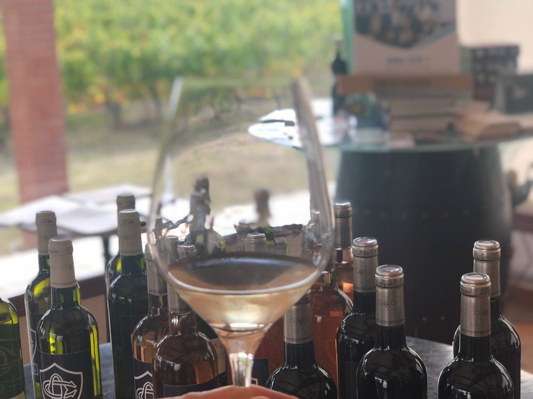 Domaine D'en Segur-Lavaur必去景点