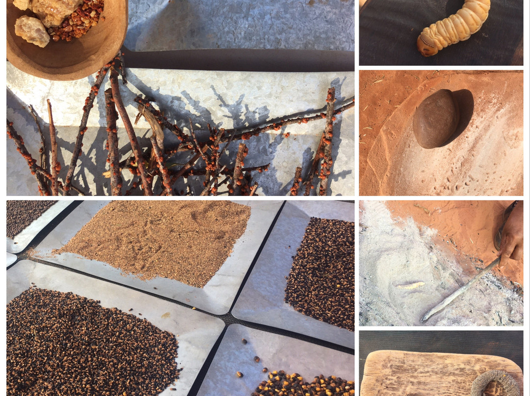 Karrke Aboriginal Cultural Experience & Tours-Kings Canyon必去景点