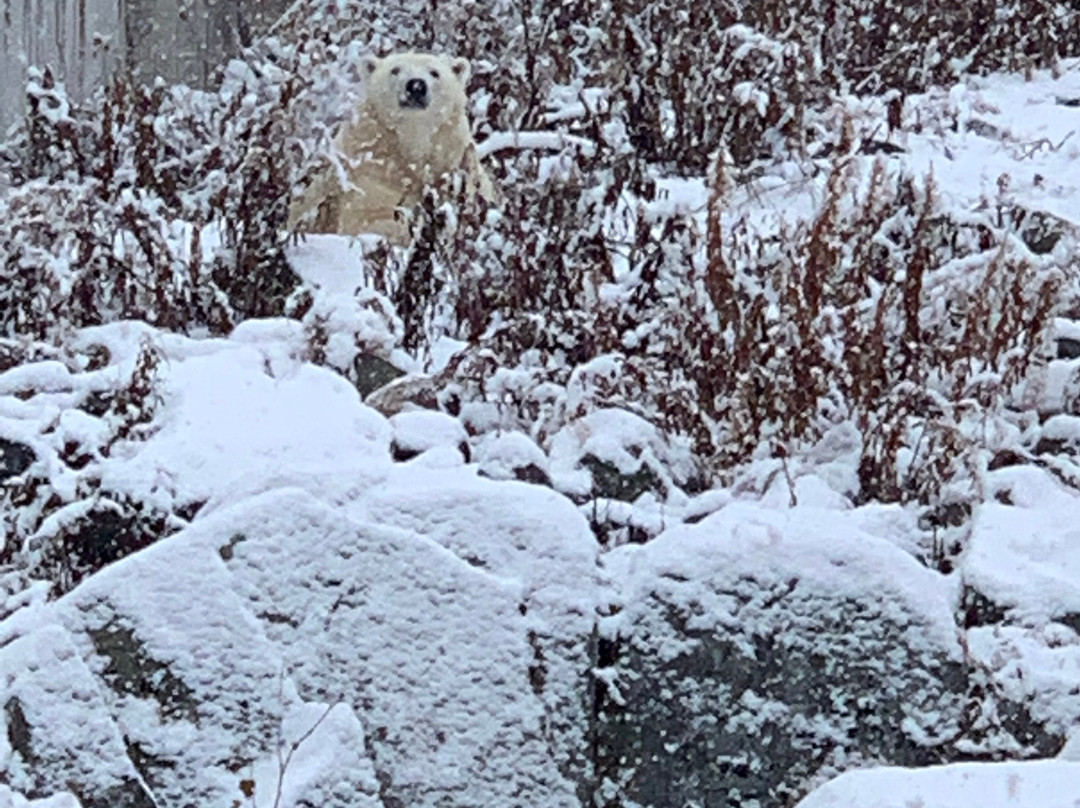 Rovaniemi Local History Museum-罗瓦涅米必去景点