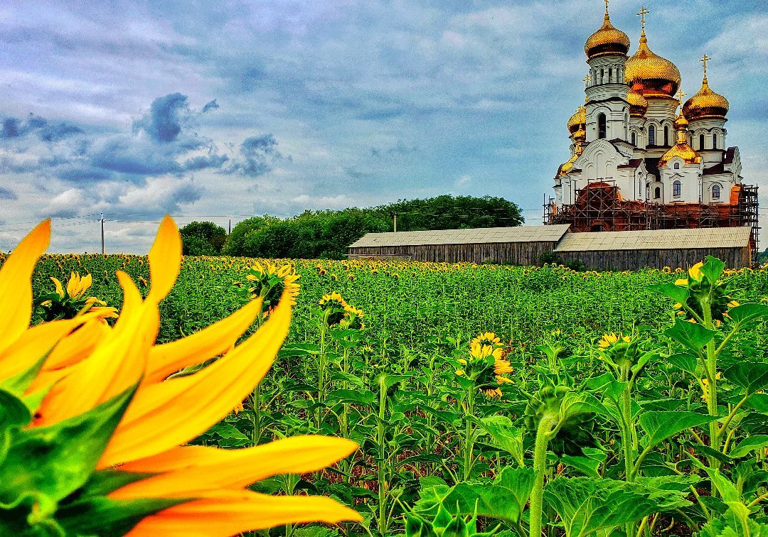 Spring of Saint Anna-Onyshkivtsi必去景点