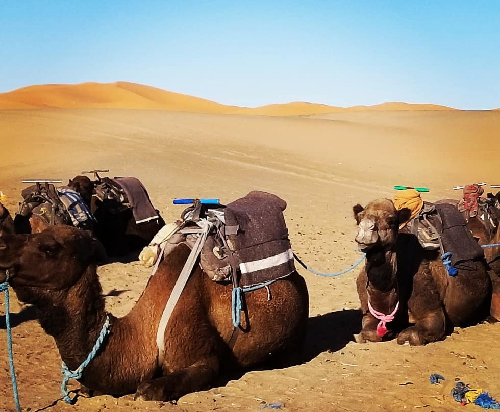 Merzouga Voyage-马拉喀什必去景点