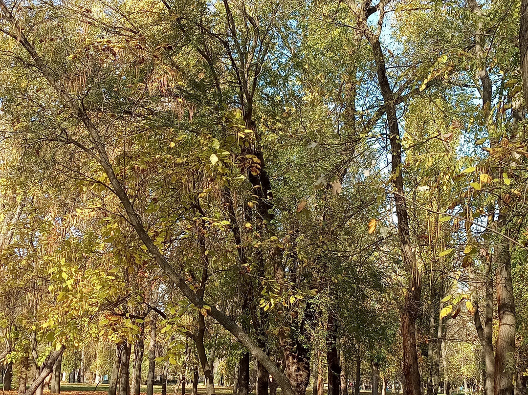 Yubileyny Park-Kremenchuk必去景点