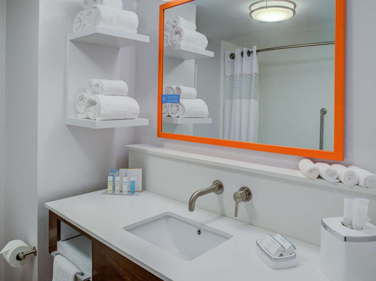 Hampton Inn & Suites Detroit/wixom主图