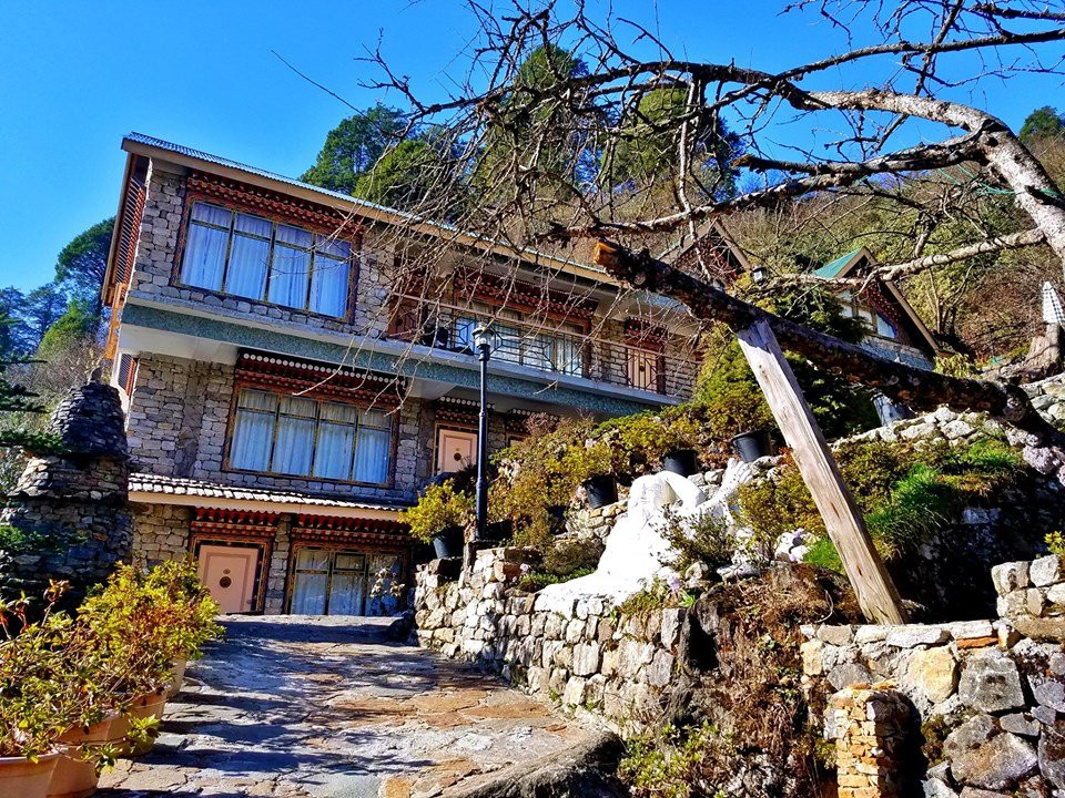 The Apple Orchard Resort主图