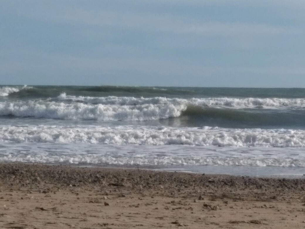 Plage des Aresquiers景点图片
