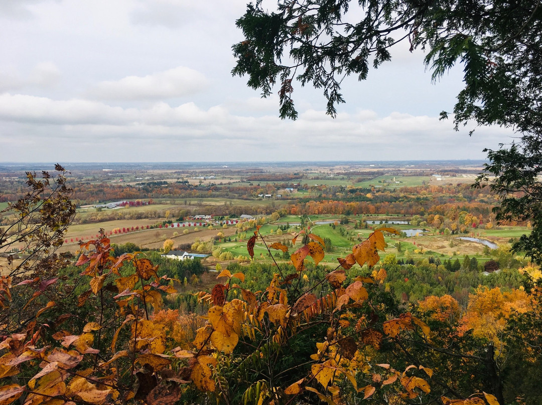 Mount Nemo Conservation Area景点图片