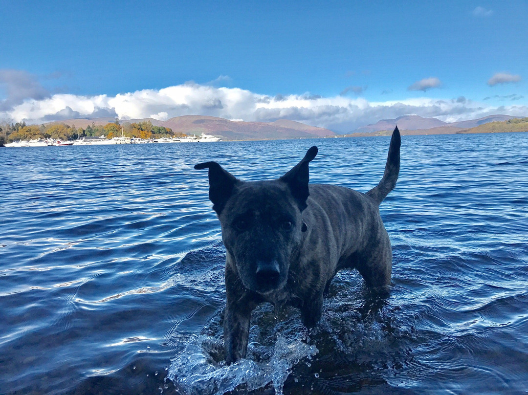 Loch Lomond National Nature Reserve-洛蒙德湖与特罗萨克斯山国家公园必去景点
