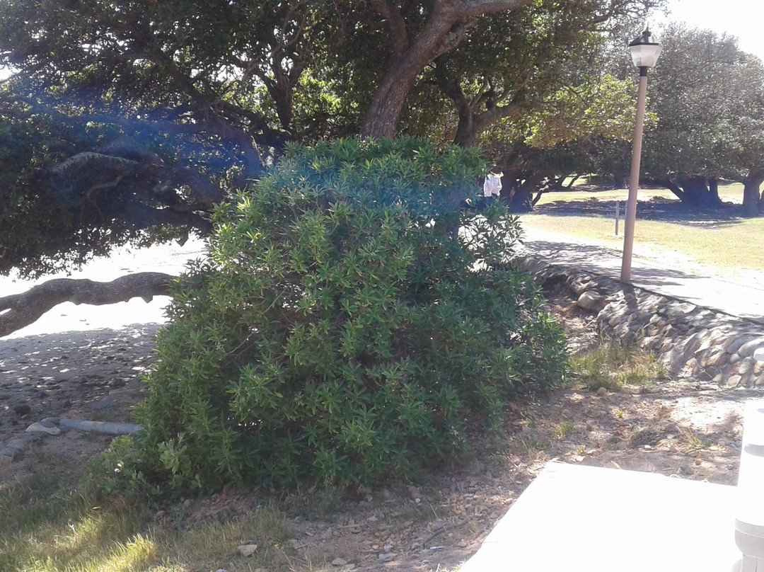 Waters Edge Beach-高登湾必去景点