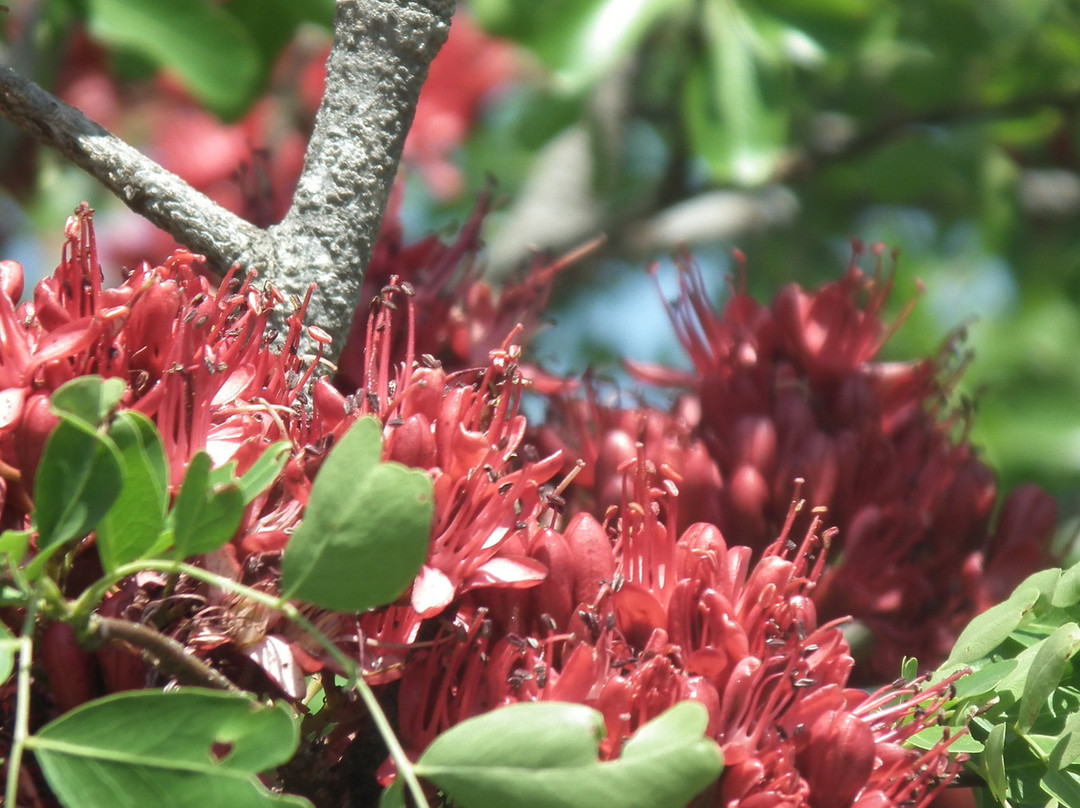 Tsitsa Falls-Qumbu必去景点