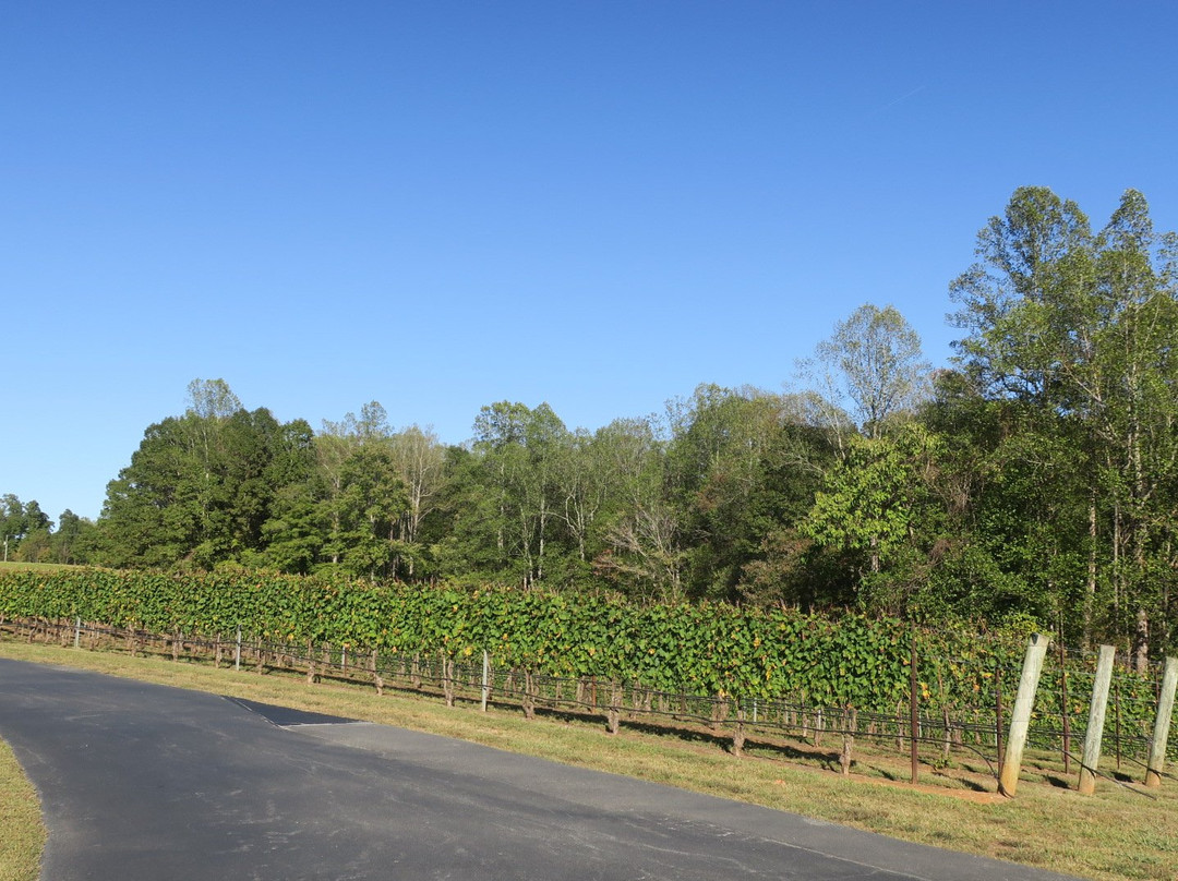 Cellar 4201 Vineyard-East Bend必去景点