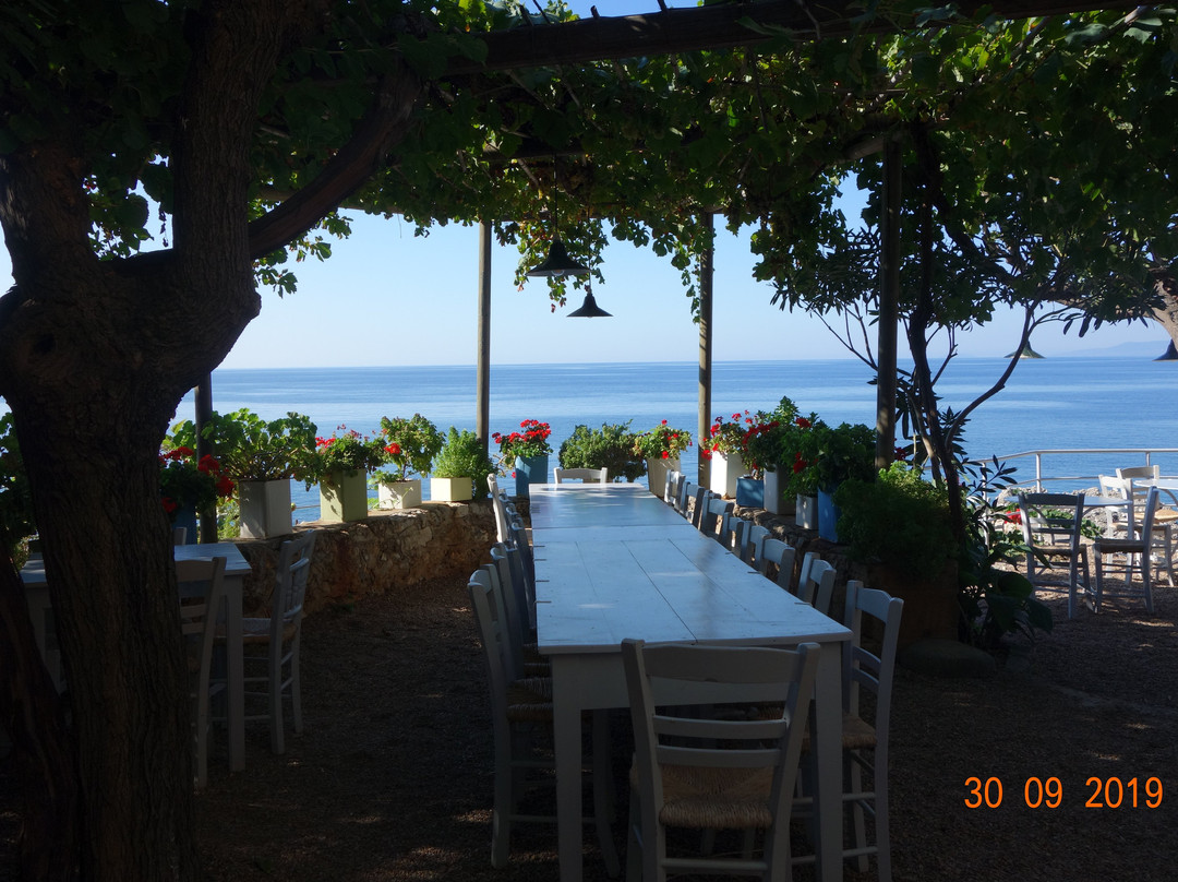 Lela's Taverna & Rooms