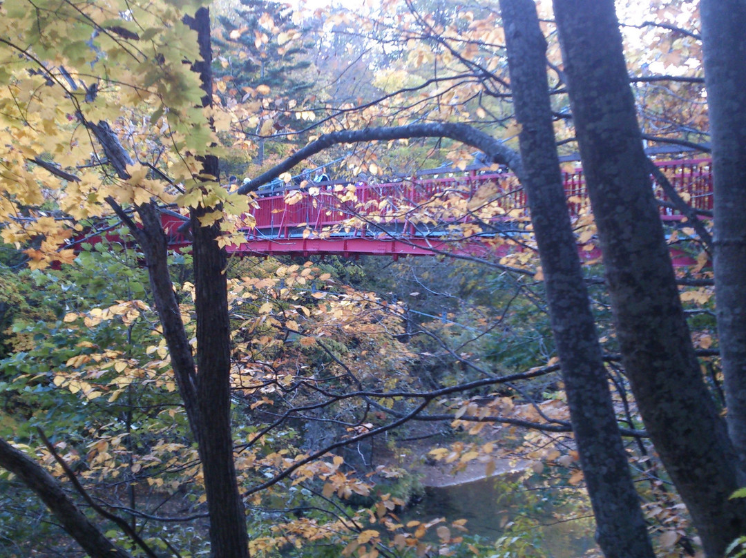 Futami Suspension Bridge景点图片