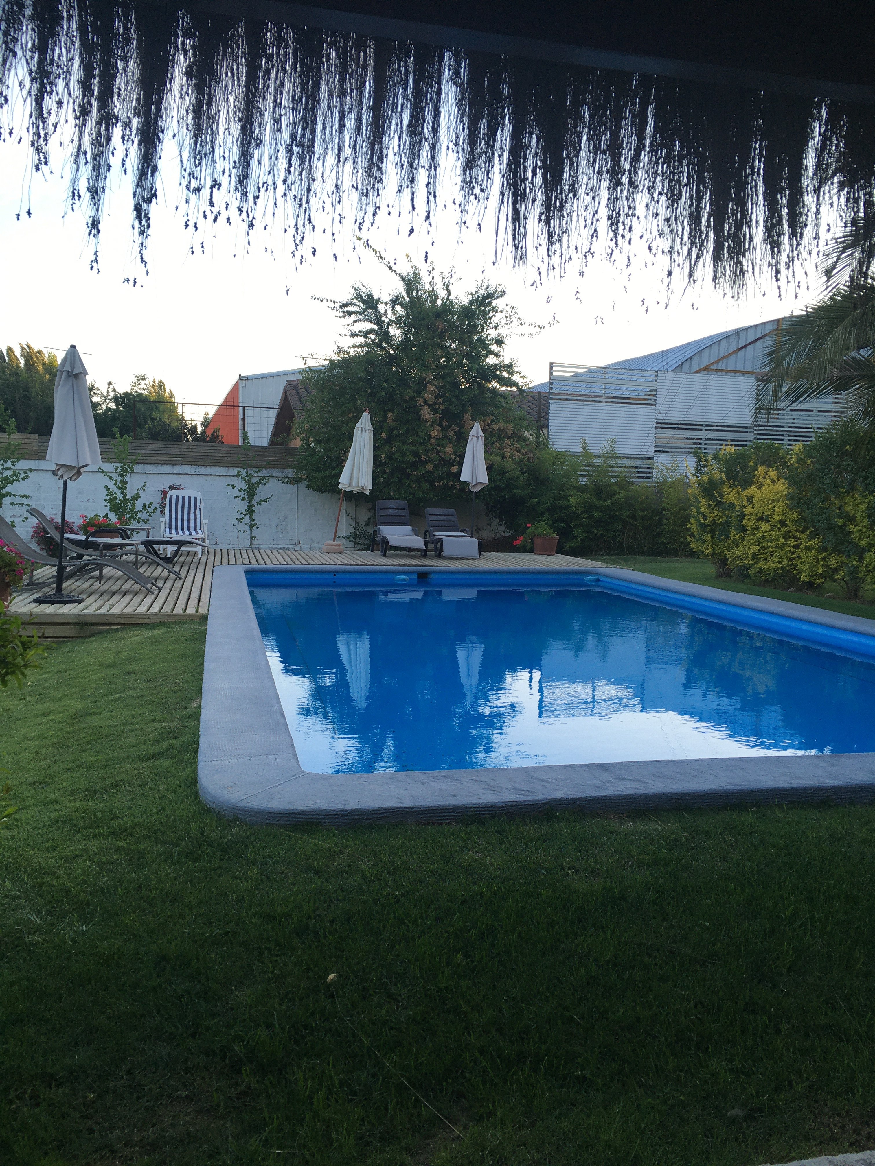 Hostal Boutique Casa Calfu B&B-泳池