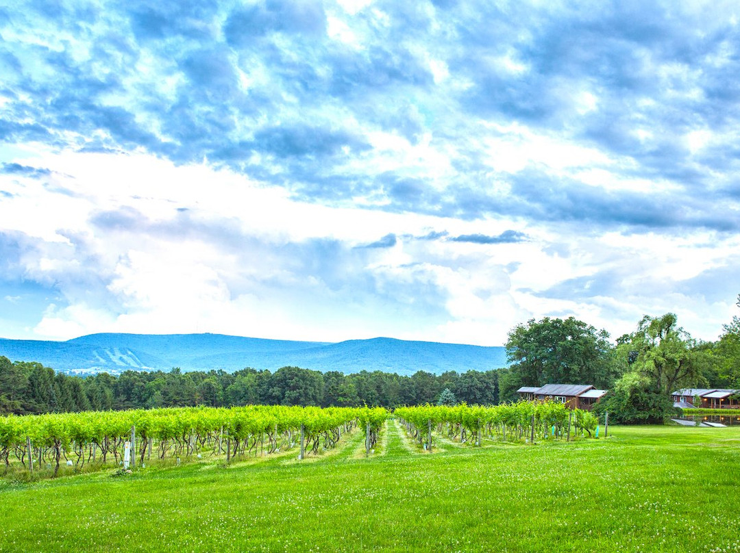 Mount Nittany Vineyard & Winery景点图片