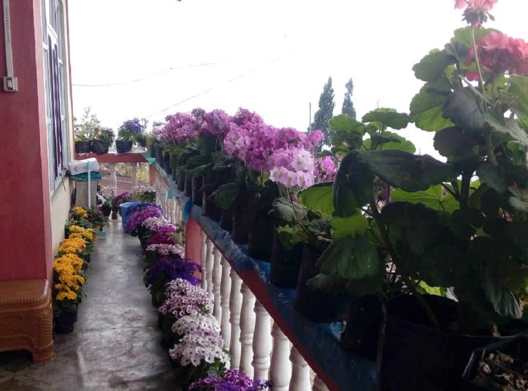 Charkhole-Loleygaon必去景点