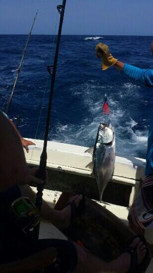 Dorothy Fishing Charters-奥腊涅斯塔德必去景点