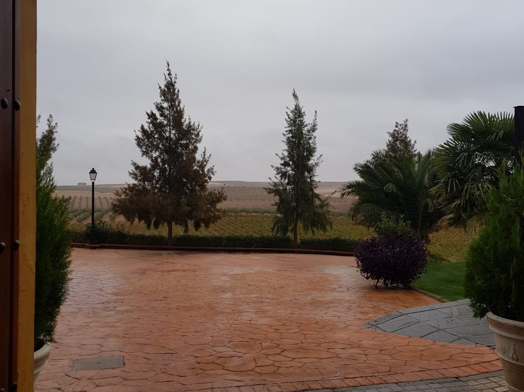 Hotel Bodega El Moral主图