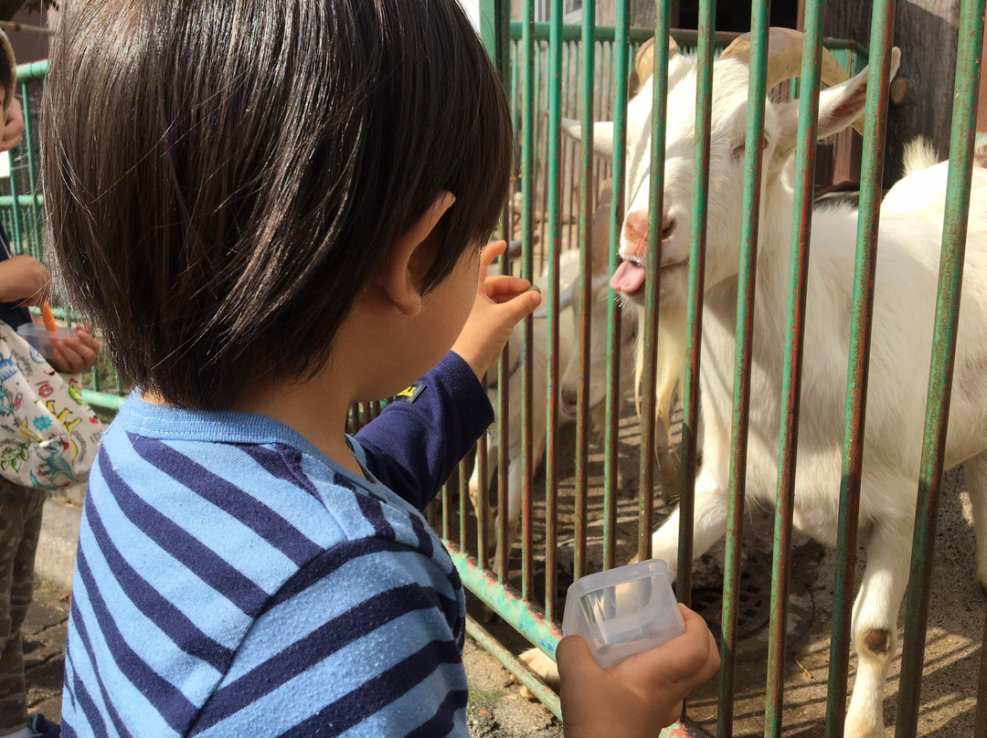 Hitachi City Kamine Zoo-日立市必去景点