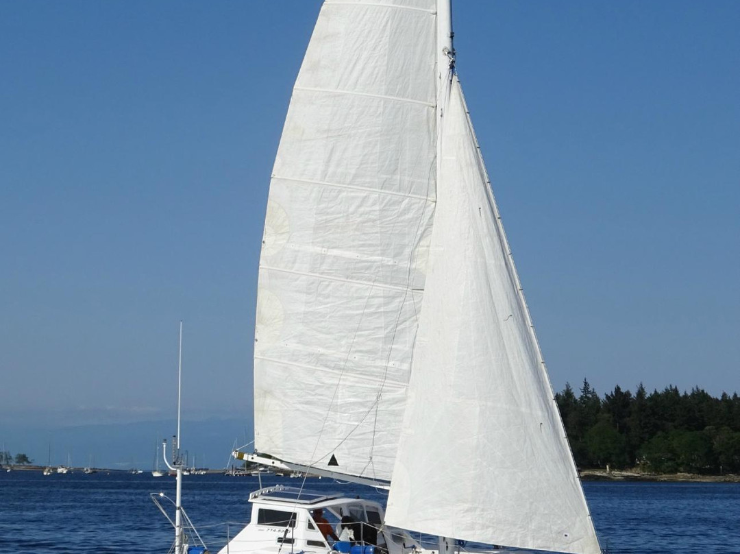 lsland Marine Adventures-纳奈莫必去景点