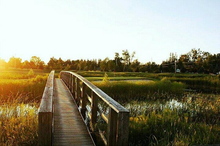 Turtle Creek Golf Club景点图片