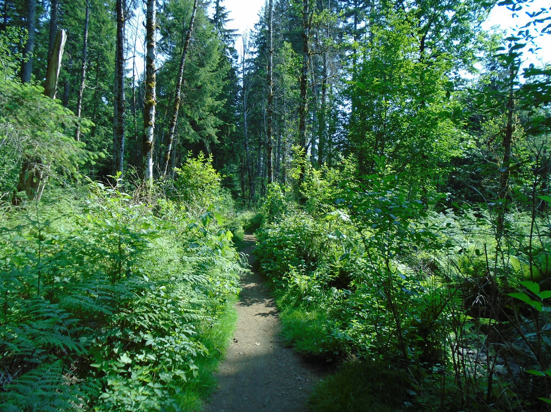 Beaver Lodge Forest Land景点图片